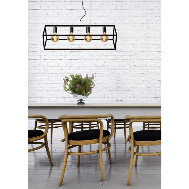 FABIAN - Hanglamp - 4xE27 - Zwart - 00425/04/30