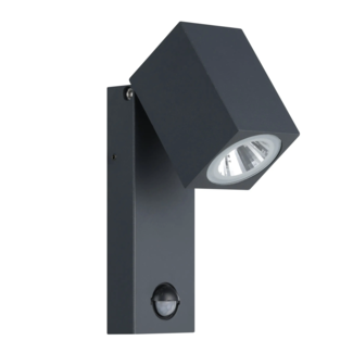 EGLO TopLine LED Outdoor Wall Lamp Sakeda 96287