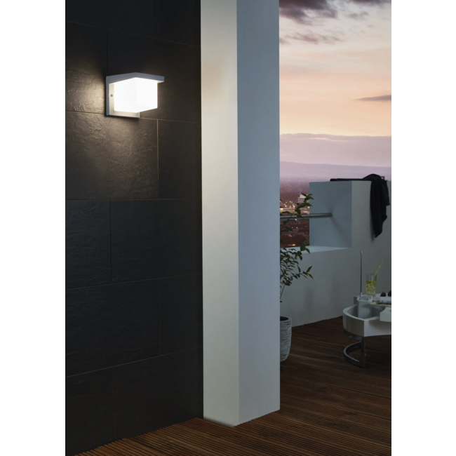 TopLine LED Outdoor Wall Lamp Desella 95097