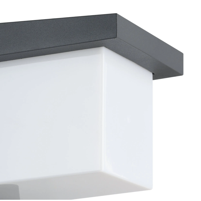 TopLine LED Outdoor Wall Lamp Desella 95097