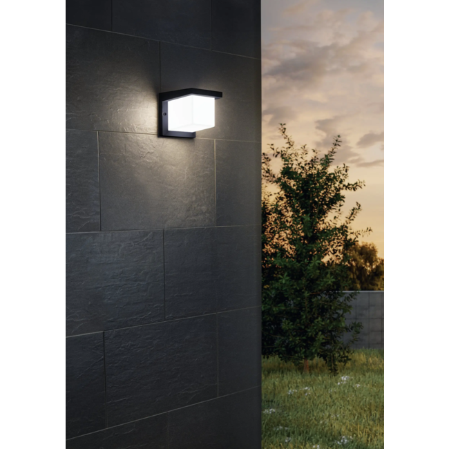 TopLine LED Outdoor Wandlamp Desella 95097
