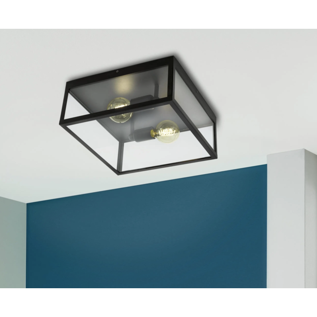 Rustic Wall and Ceiling Light Charterhouse 49392