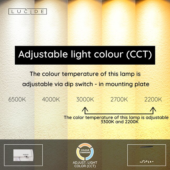 Premium CALINA - Hanglamp - LED Dimb. - CCT - 12x7W 2200K/3300K - Zwart - 24406/86/30