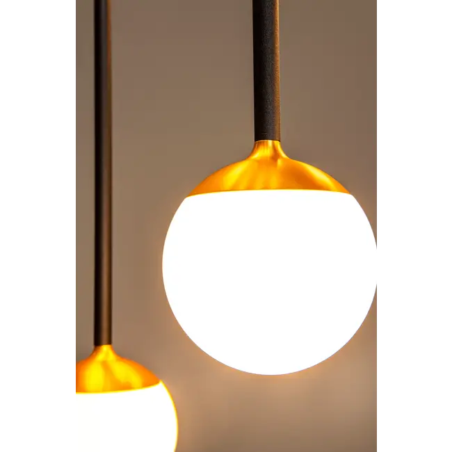 Premium CALINA - Hanglamp - LED Dimb. - CCT - 12x7W 2200K/3300K - Zwart - 24406/86/30