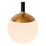 Premium CALINA - Hanglamp - LED Dimb. - CCT - 12x7W 2200K/3300K - Zwart - 24406/86/30