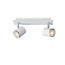 RILOU - Plafondspot - LED Dimb. - GU10 - 2x5W 3000K - Wit - 26994/10/31
