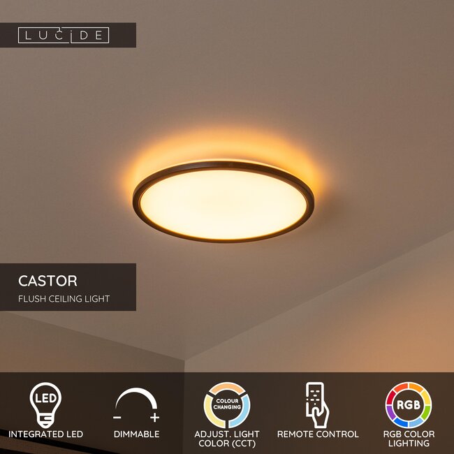 CASTOR - Flush ceiling light - Ø 32 cm - LED Dim. - CCT - 1x20W 2700K/6500K - Rgb - Opal - 07120/22/30
