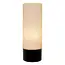 JESSE - Wandlamp Badkamer - 1xG9 - IP44 - Zwart - 04202/01/30
