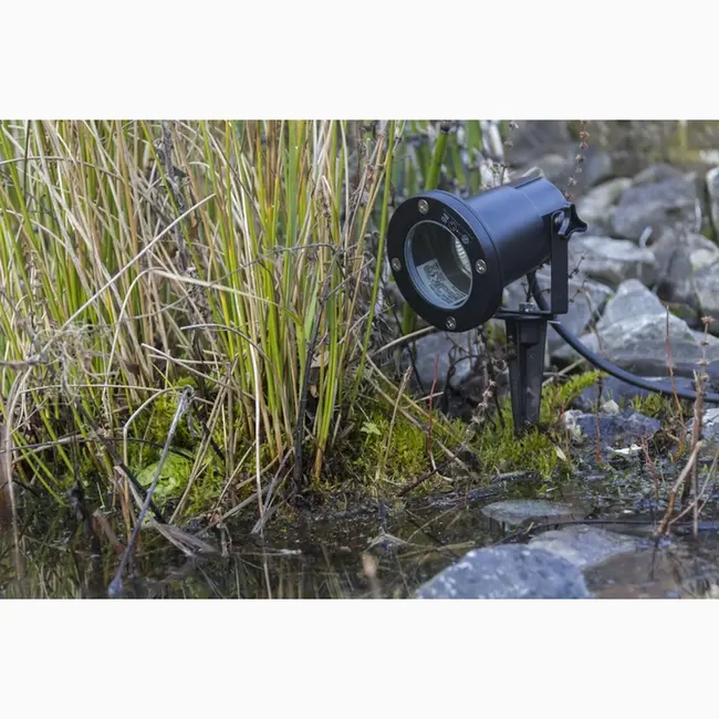 Doran Prikspot Black