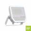 Projecteur LED Ledvance FL50