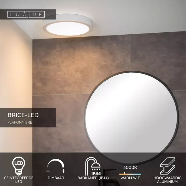 BRICE-LED - Plafonnière Badkamer - Ø 30 cm - LED Dimb. - 1x30W 3000K - IP44 - Wit - 28116/30/31
