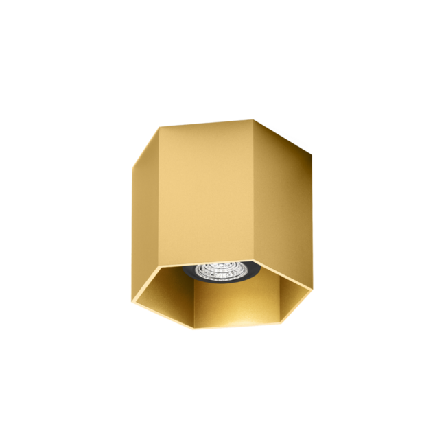 Design plafondspot Hexo 1.0 PAR16