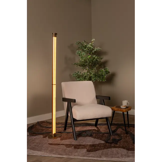 JANDERIN - Vloerlamp - LED Dimb. - CCT - 2x17W 2200K/3300K - Handbewegingssensor - Champagne kleur | Vibes - 24705/34/05