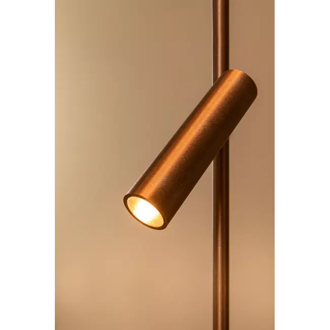 Premium APPLAUSE - Vloerlamp - Ø 33 cm - LED Dimb. - CCT - 2700K/4000K - Koffie - 23700/20/96