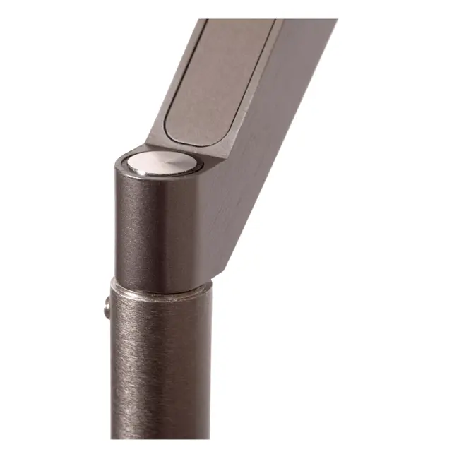 Premium APPLAUSE - Vloerlamp - Ø 33 cm - LED Dimb. - CCT - 2700K/4000K - Grijs ijzer - 23700/20/15