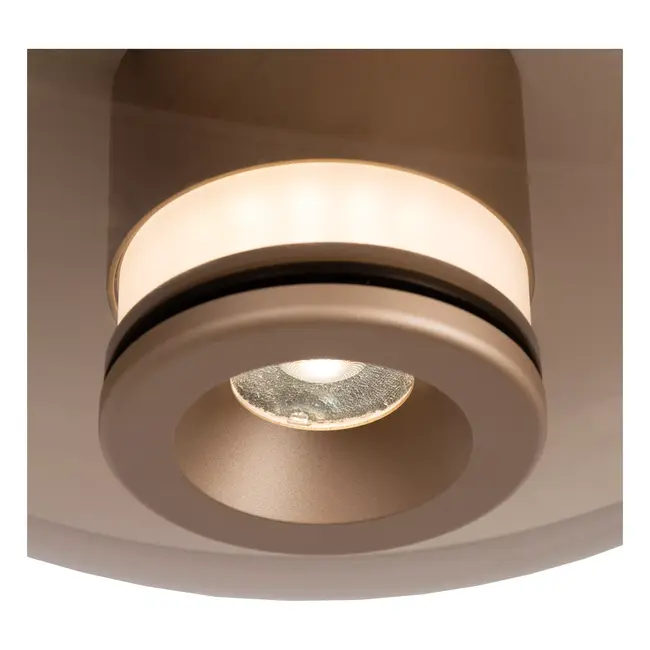 Premium SANTIAGO - Ceiling lamp - Ø 23 cm - LED Dimming. - CCT - 1x10W 2700K/4000K - Amber - 23101/12/62