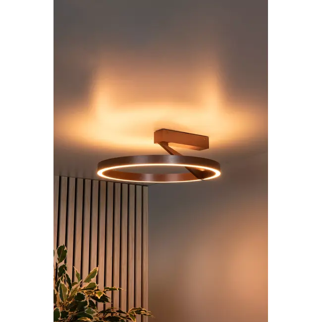 Premium APPLAUSE - Plafonnière - Ø 40 cm - LED Dimb. - CCT - 1x26W 2200K/4000K - Koffie - 23100/40/96