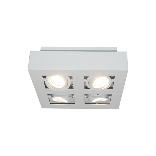 Projecteur Bosco 4 en saillie