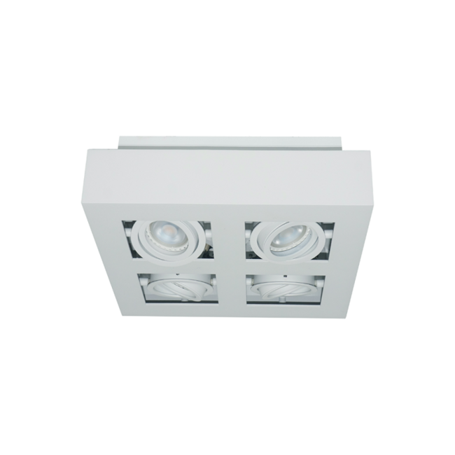 Projecteur Bosco 4 en saillie