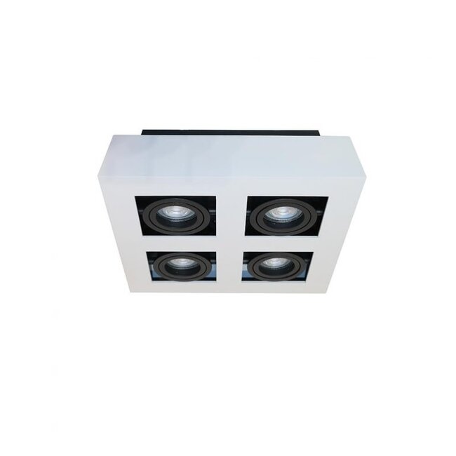 Projecteur Bosco 4 en saillie