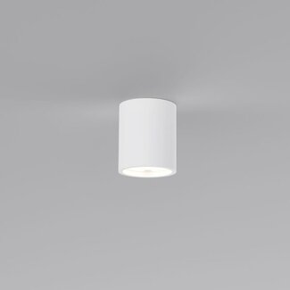 Artdelight Ceiling lamp Toulouse Plaster