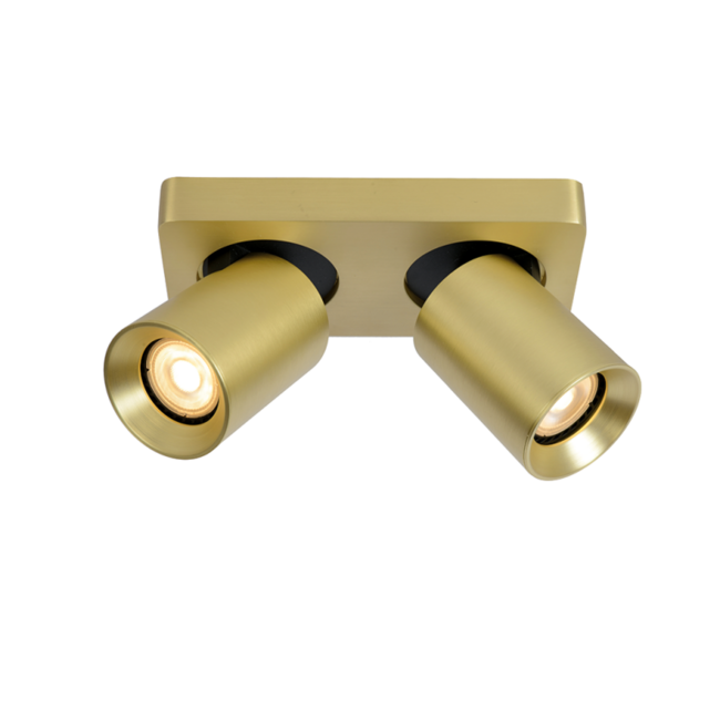 Surface-mounted spotlight Megano 2 lights