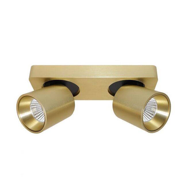 Projecteur Laguna 2 en saillie