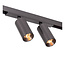 Lucide Premium Premium LINIAL BIXX Railspot - 1-fase Railsysteem / Railverlichting - Smart - 48V Track - 2xLED - Mat Zwart Chroom