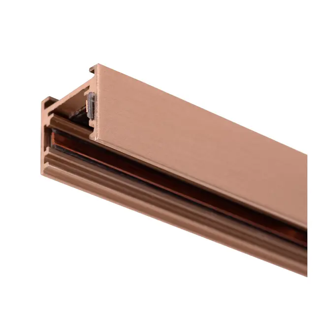 Rail d'éclairage en surface LINIAL Premium - Système monophasé / éclairage sur rail - Intelligent - Rail 48 V - 1 mètre - Champagne - 55900/01/05