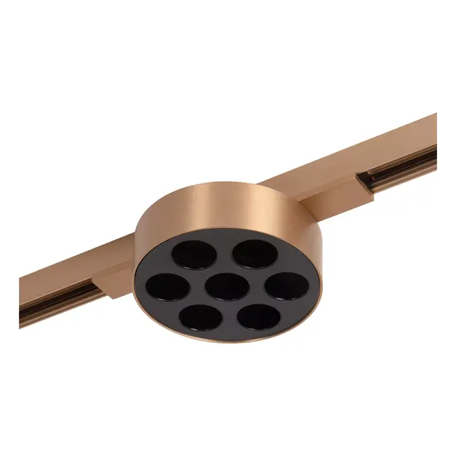 Premium LINIAL XAVI Railspot - 1-fase Railsysteem / Railverlichting - Smart - 48V Track - LED - Champagne - 55908/08/05