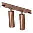 Premium LINIAL MOXX Railspot - 1-fase Railsysteem / Railverlichting - Smart - 48V Track - 2xLED - Champagne - 55902/20/05