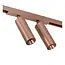 Premium LINIAL MOXX Rail spotlight - 1-phase Rail system / Rail lighting - Smart - 48V Track - 2xLED - Champagne - 55902/20/05