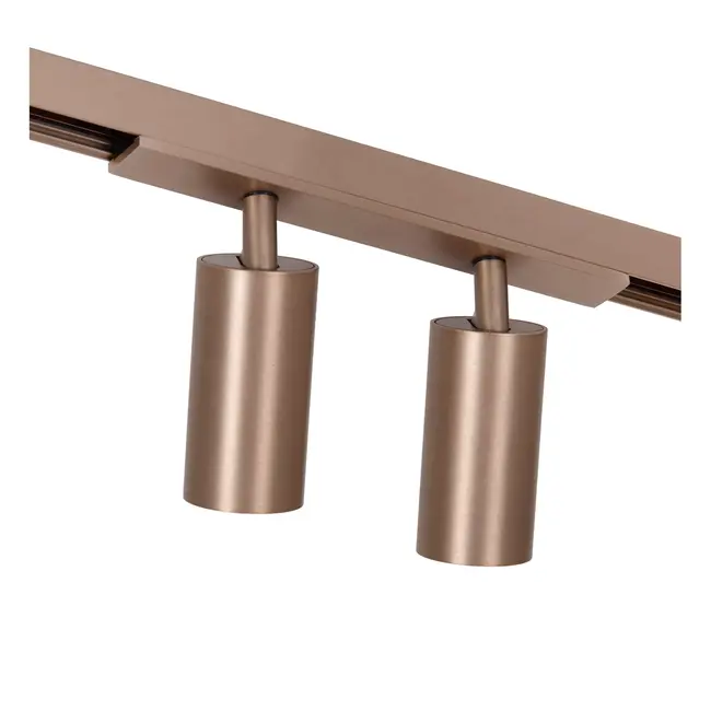 Premium LINIAL BIXX Railspot - 1-fase Railsysteem / Railverlichting - Smart - 48V Track - 2xLED - Champagne - 55901/16/05
