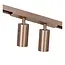 Premium LINIAL BIXX Railspot - 1-fase Railsysteem / Railverlichting - Smart - 48V Track - 2xLED - Champagne - 55901/16/05