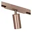 Premium LINIAL BIX Railspot - 1-fase Railsysteem / Railverlichting - Smart - 48V Track - 1xLED - Champagne - 55901/08/05
