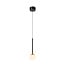 Premium CALINA - Suspension - Ø 9,9 cm - LED Dim. - CCT - 1x7W 2200K/3300K - Avec module LED remplaçable - Noir - 24406/07/30