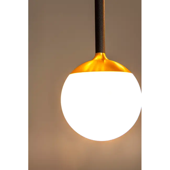 Premium CALINA - Suspension - Ø 9,9 cm - LED Dim. - CCT - 1x7W 2200K/3300K - Avec module LED remplaçable - Noir - 24406/07/30