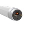 LED PERFORMANCE CLASS TL 19.3W/23.1W 150CM tube lamp