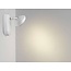 Wall spotlight myLiving Sepia LED 571703116