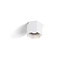 Design ceiling spotlight Hexo 1.0 PAR16