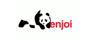 Enjoi Skateboard