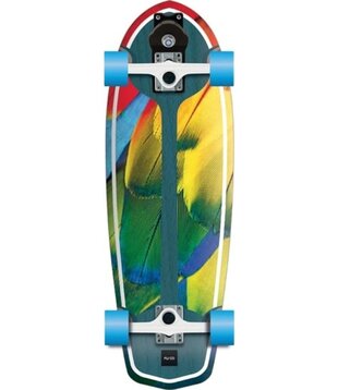 Carver Skateboard huur