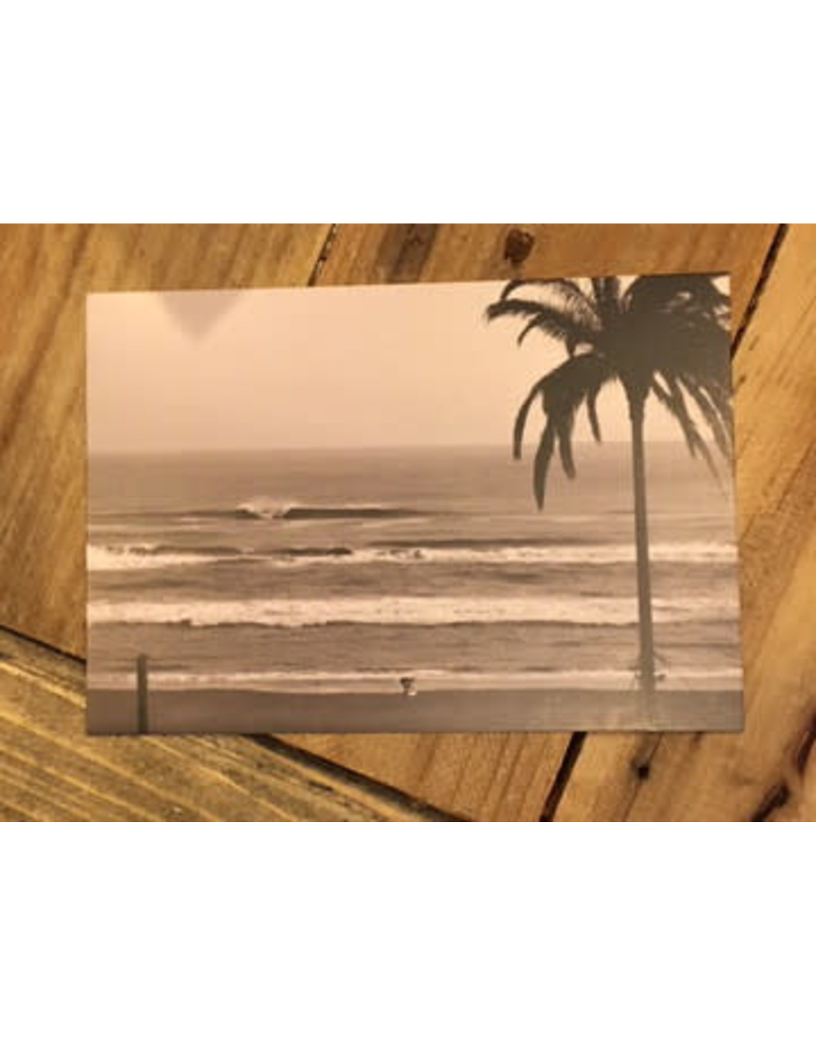 Ansichtkaart Zandvoort Palm