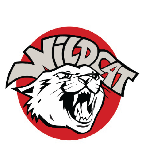 Pyzel Surfboards Pyzel Wildcat 5'8" Twin Fin Futures