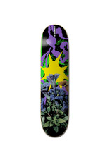 Element Element 8.25 Combine Gabriel Skate Deck