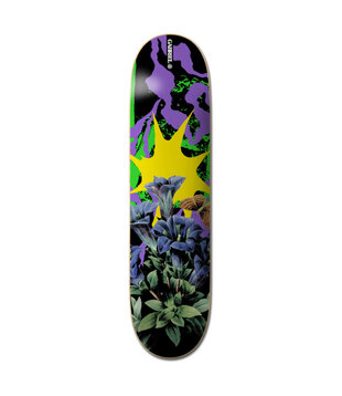 Element 8.25 Combine Gabriel Skate Deck