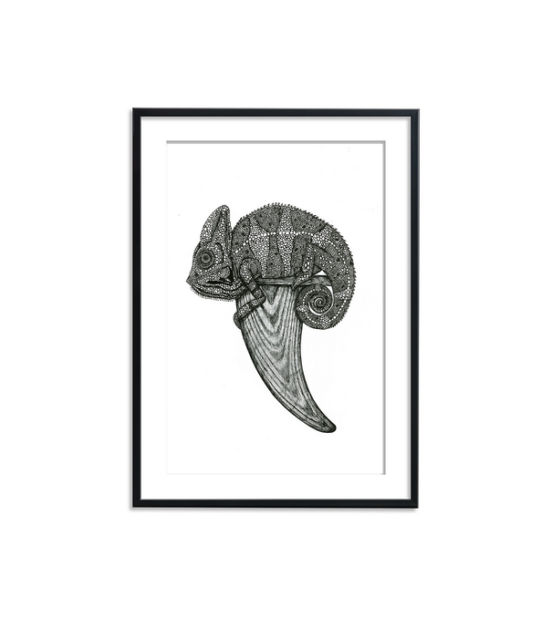 Prints Cameleon Single