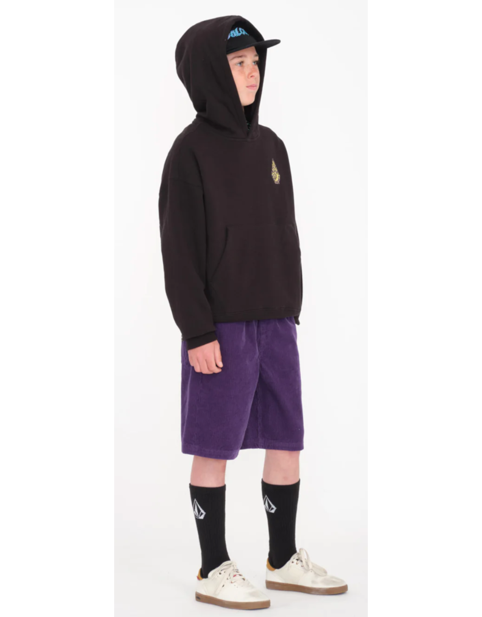 Volcom Volcom Tetsunori Hoodie