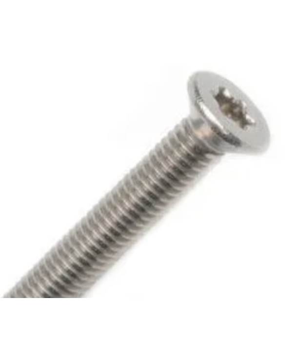 Nalu RVS Torx Verzonken kop