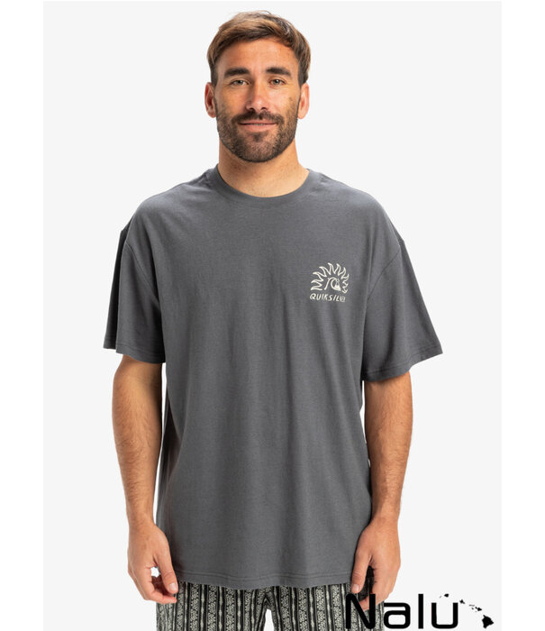 Quiksilver Quiksilver CL Freedom Swell T-Shirt Iron Gate
